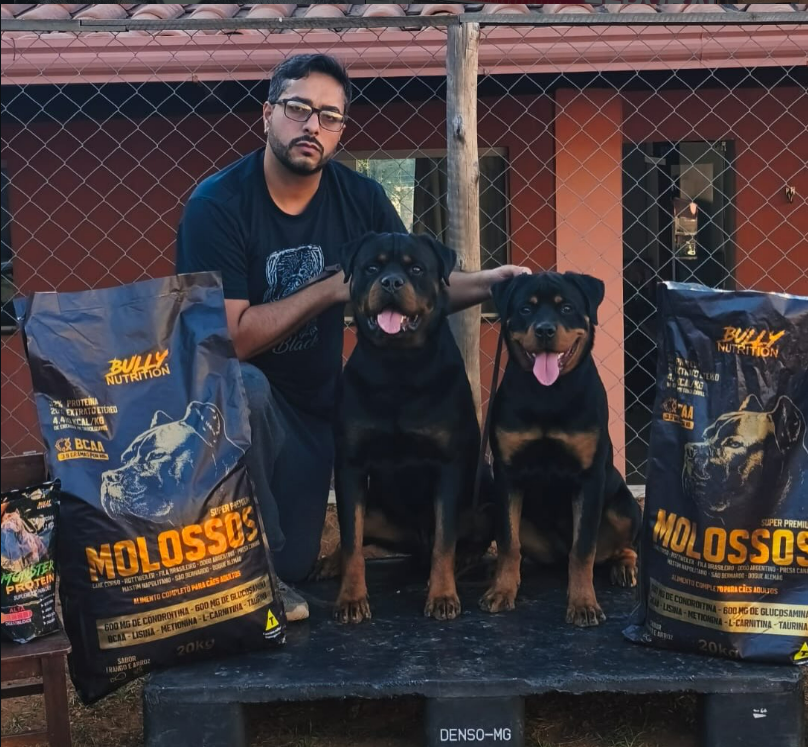 Rottweilers do Canil Matilha de Minas na rotina do canil